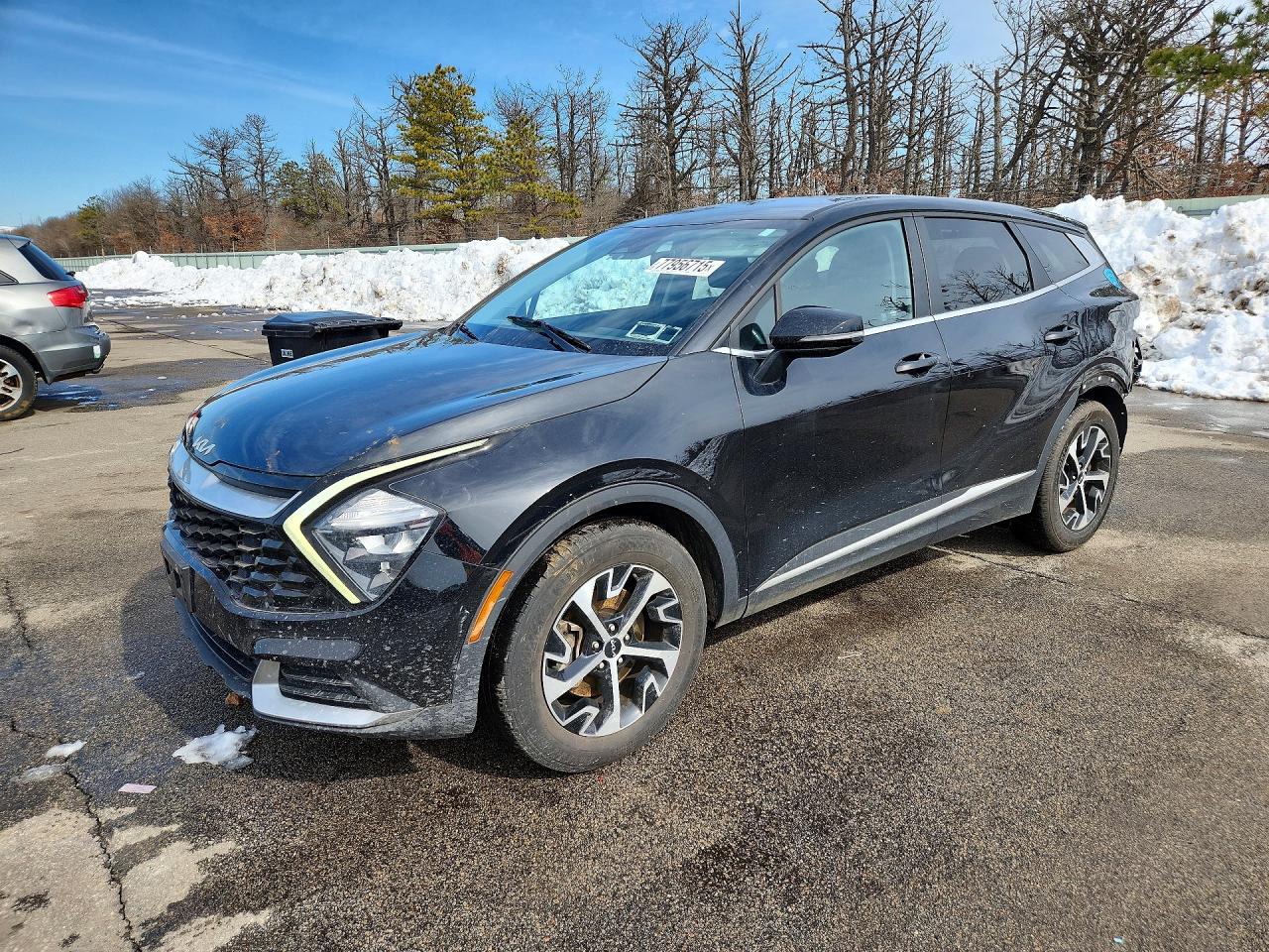 Salvage Kia Sportage Image