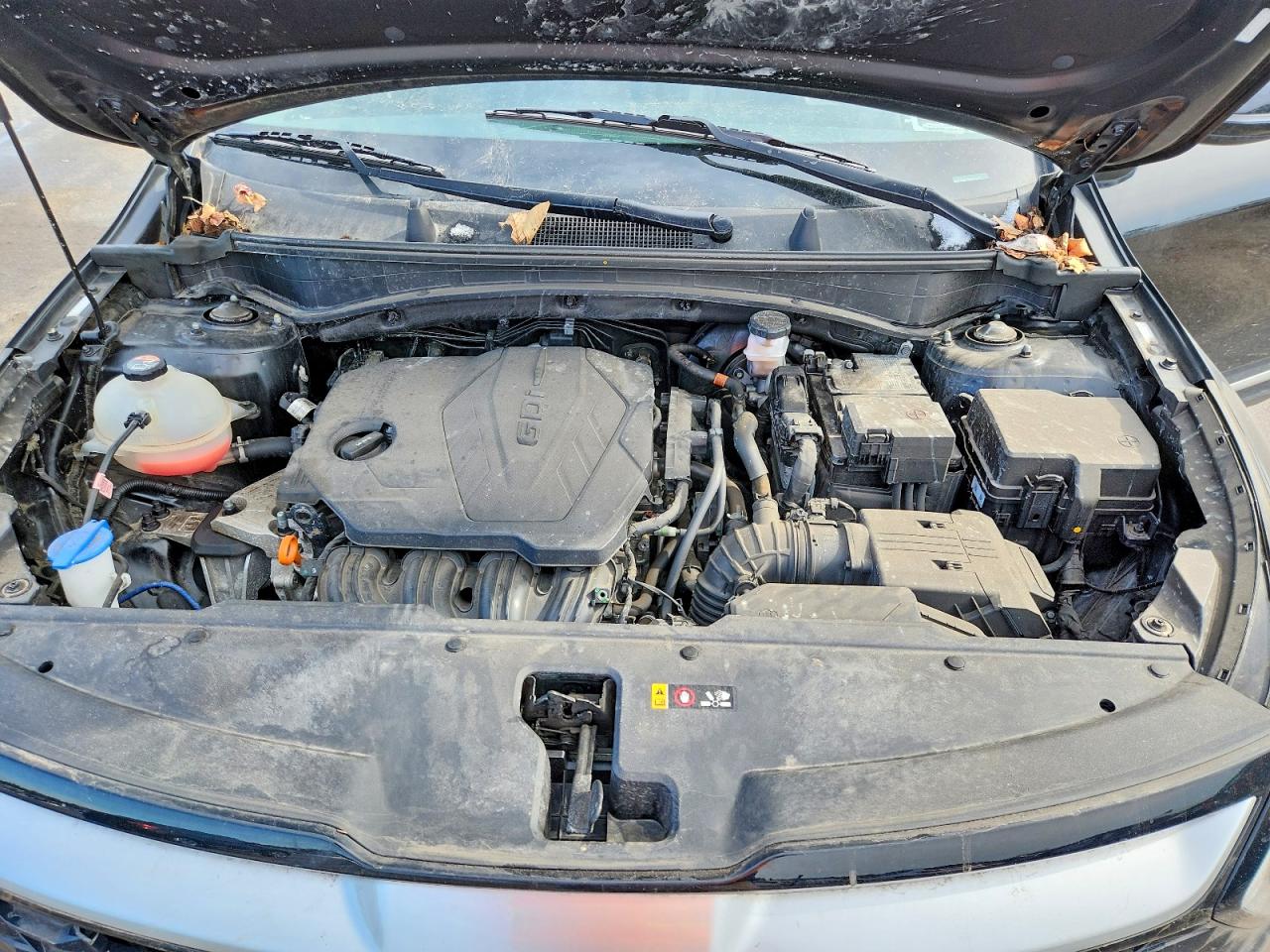 Kia Sportage Ex