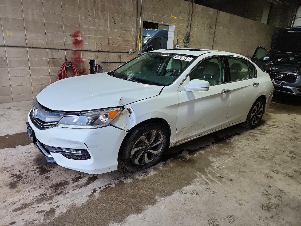 Salvage Honda Accord Image