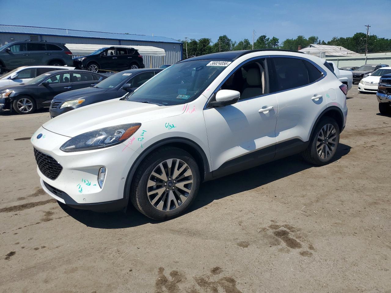 Salvage Ford Escape Image