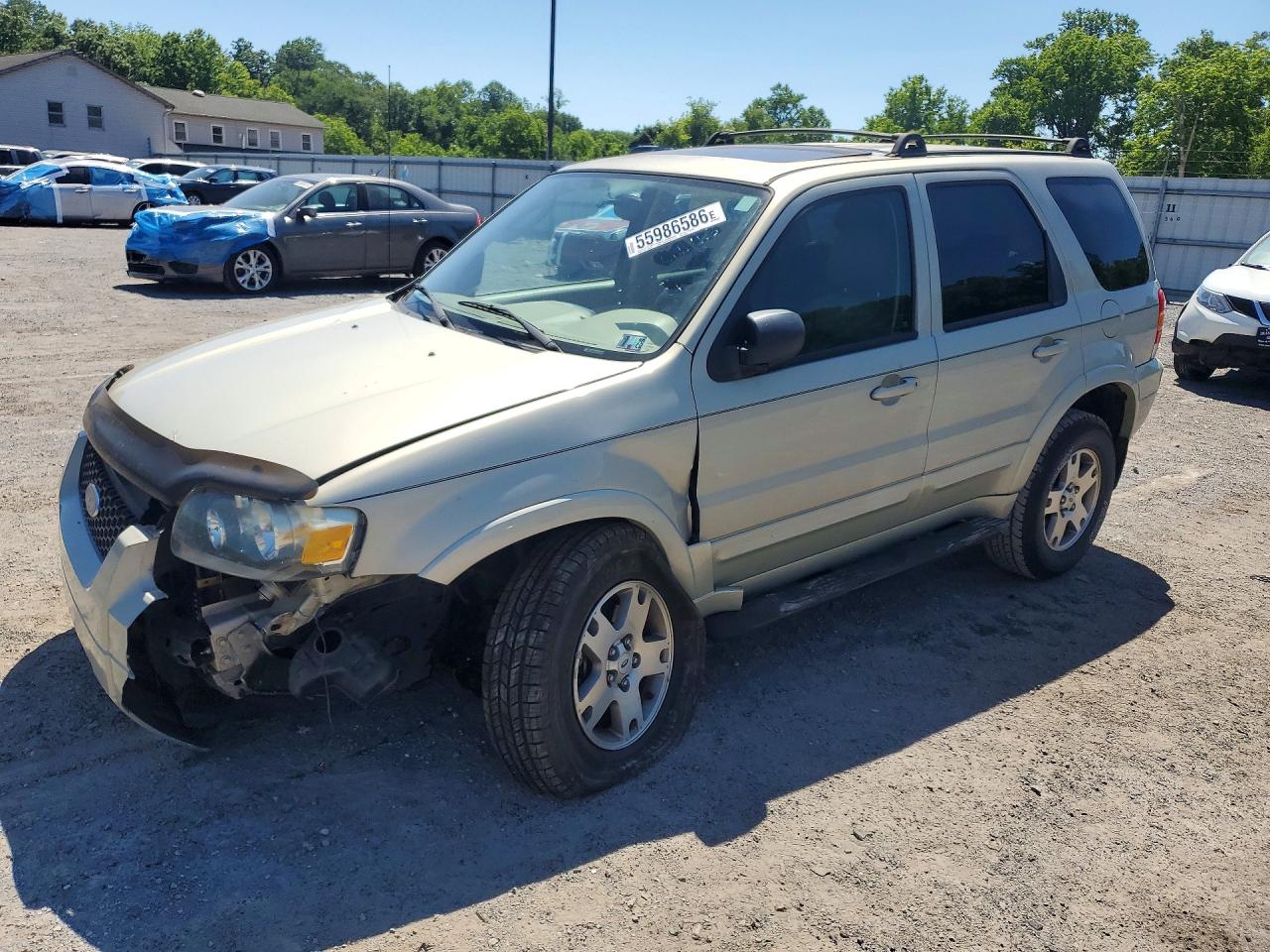 Salvage Ford Escape Image