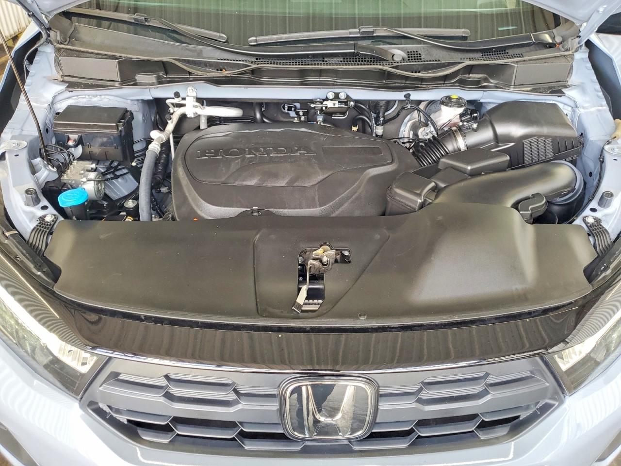 Honda Odyssey Sport-l