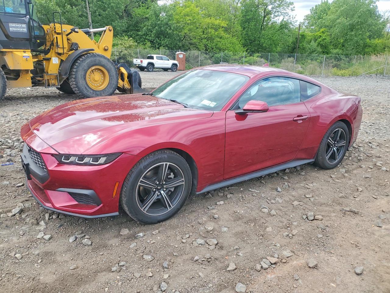 Salvage Ford Mustang Image