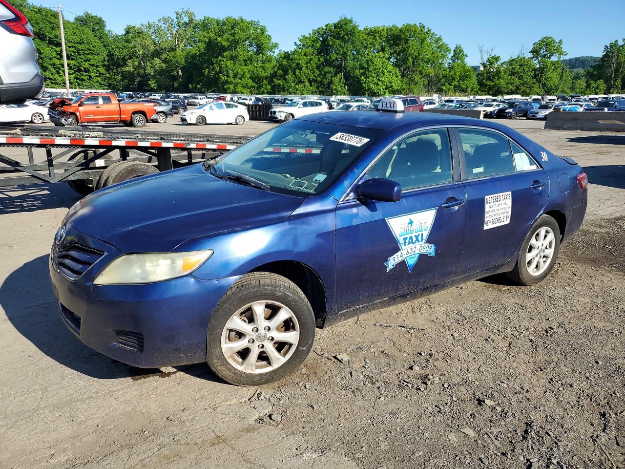 Salvage Toyota Camry Image