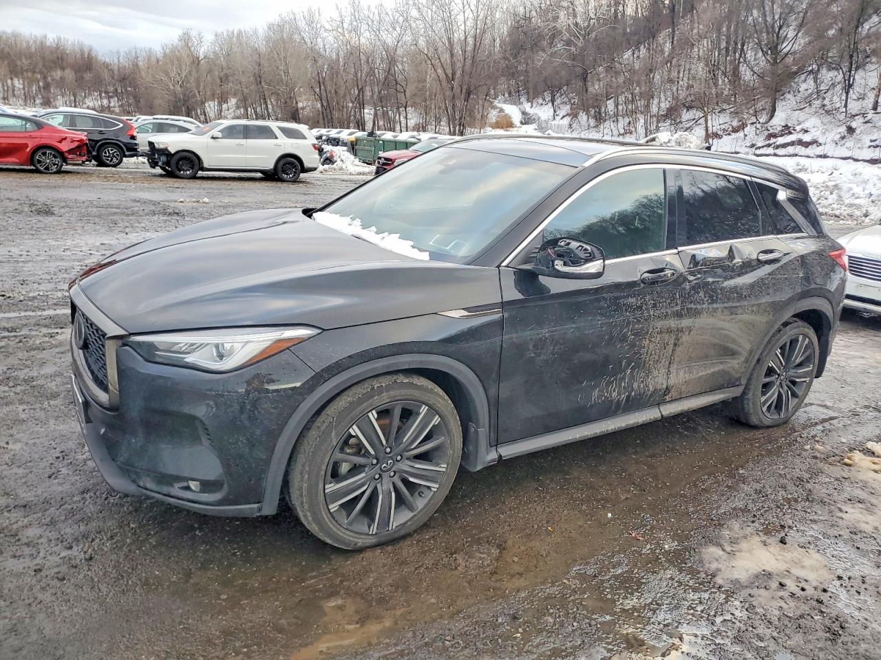 Salvage INFINITI Qx Image