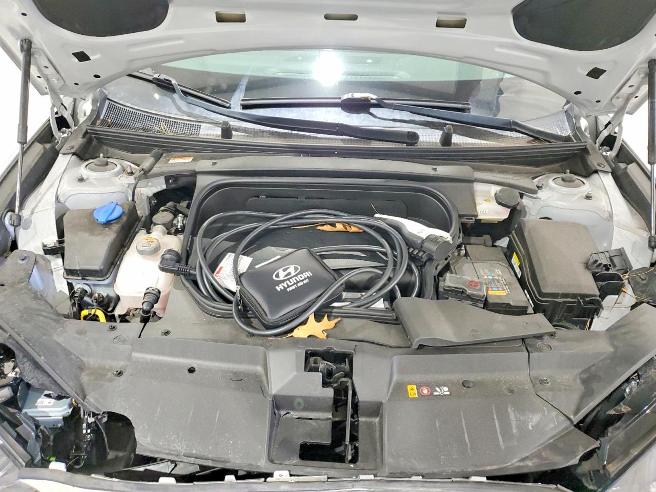 Hyundai Ioniq Sel