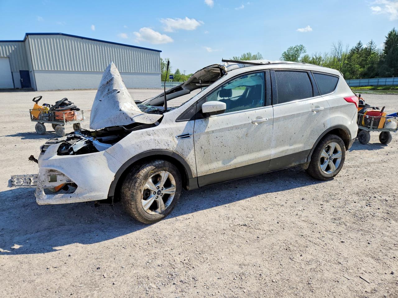 Salvage Ford Escape Image