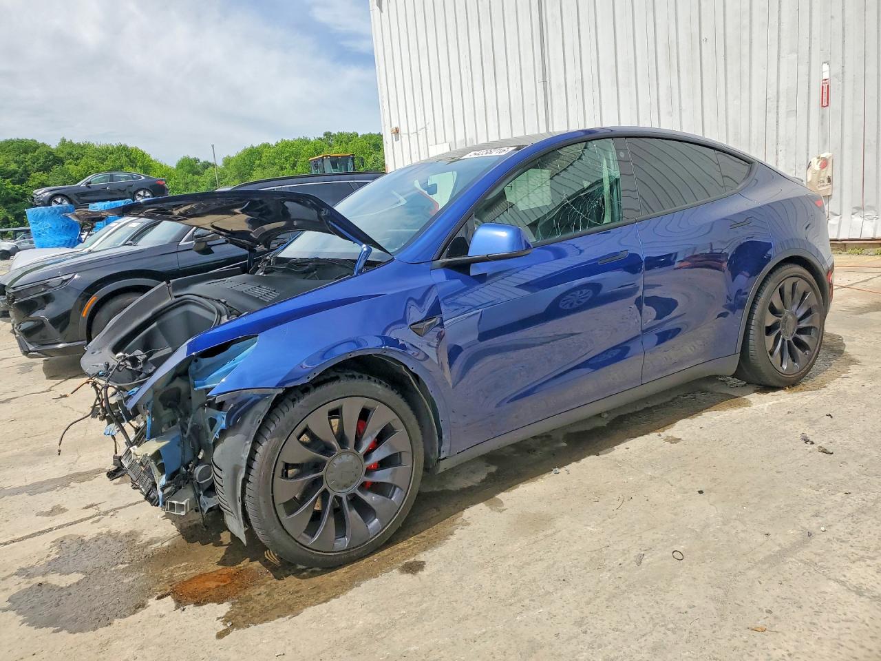 Salvage Tesla Model Y Image
