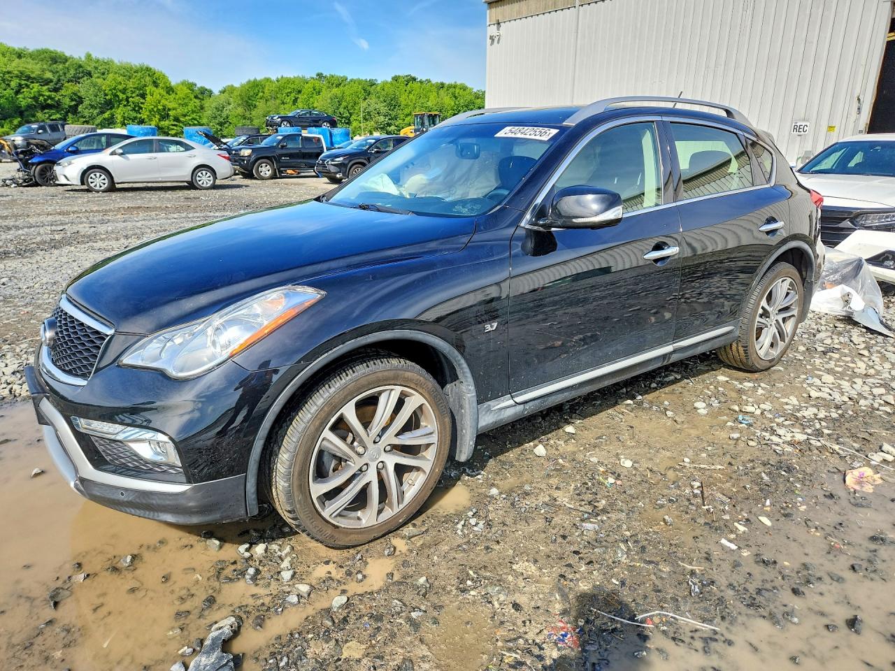 Salvage INFINITI Qx Image