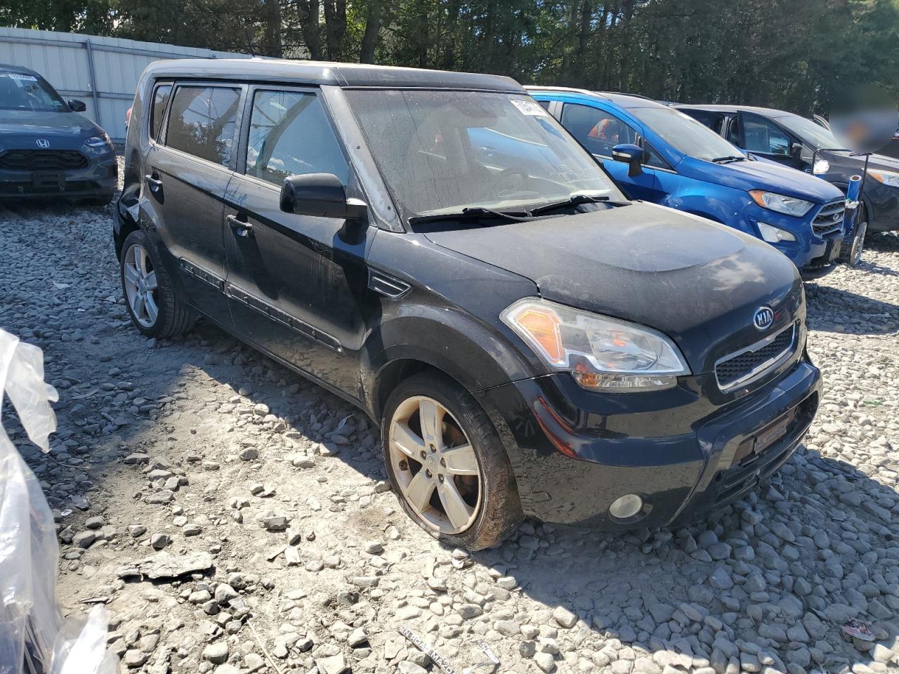 Kia Soul +