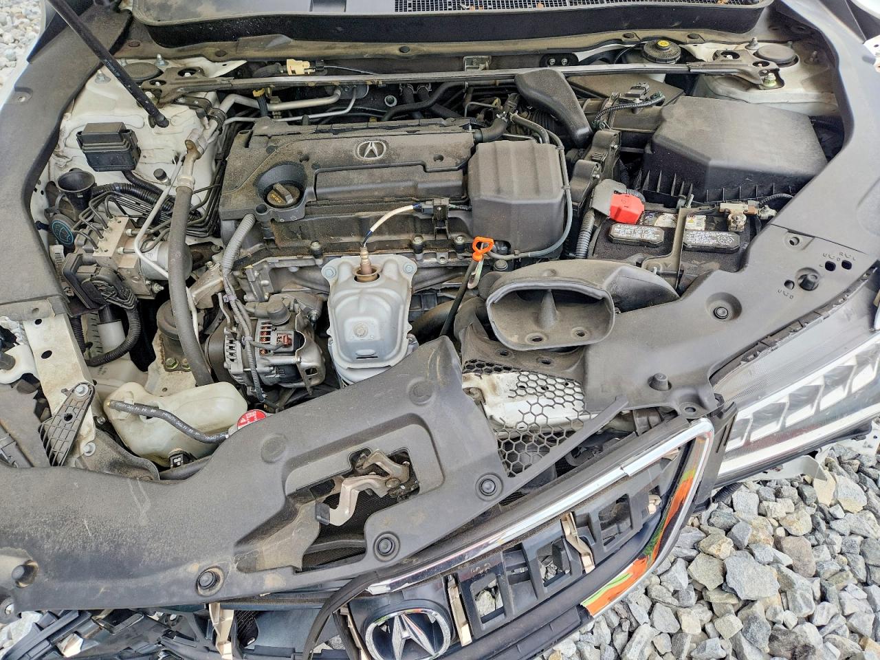 Acura TLX Tech