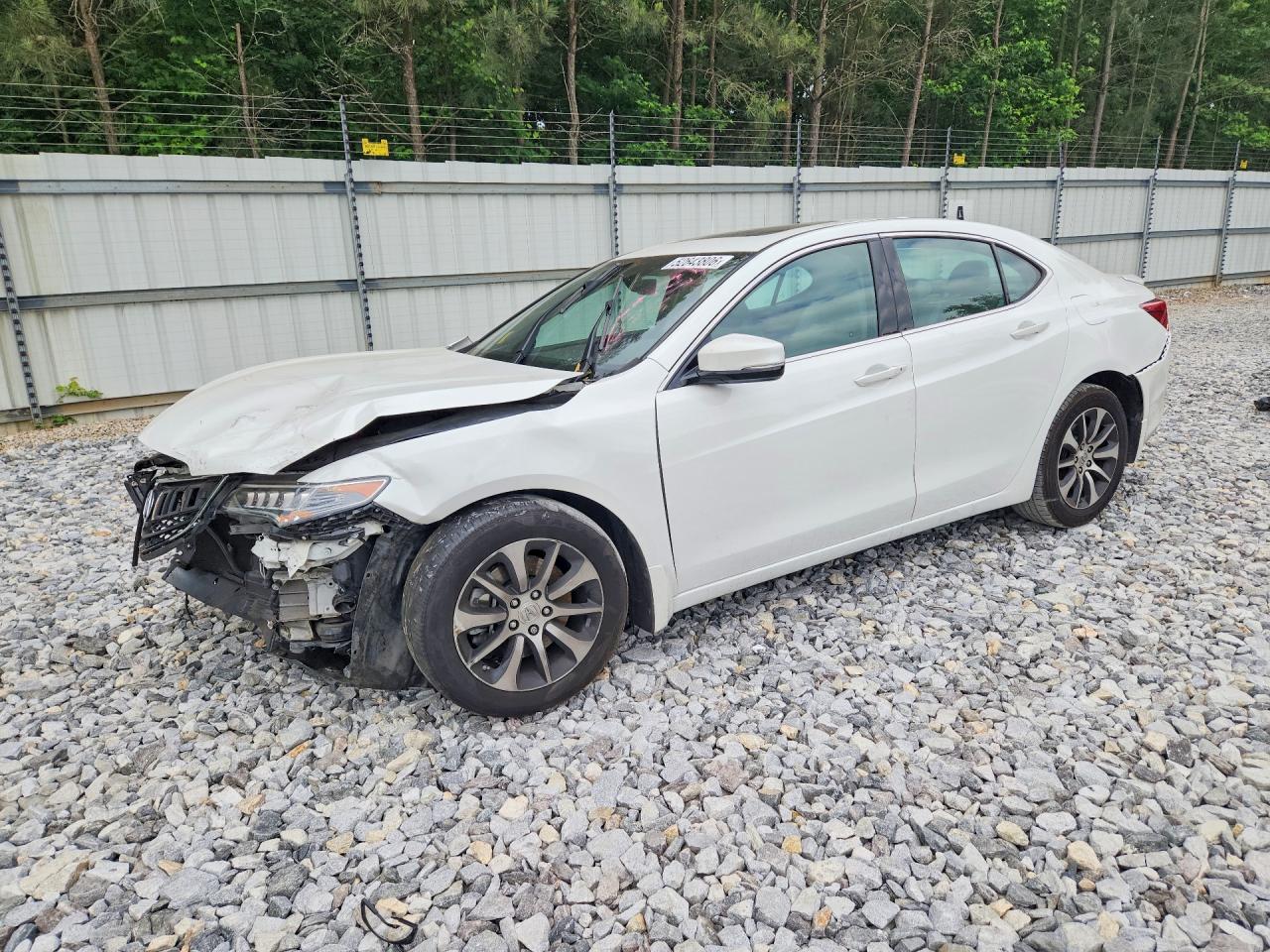 Salvage Acura TLX Image