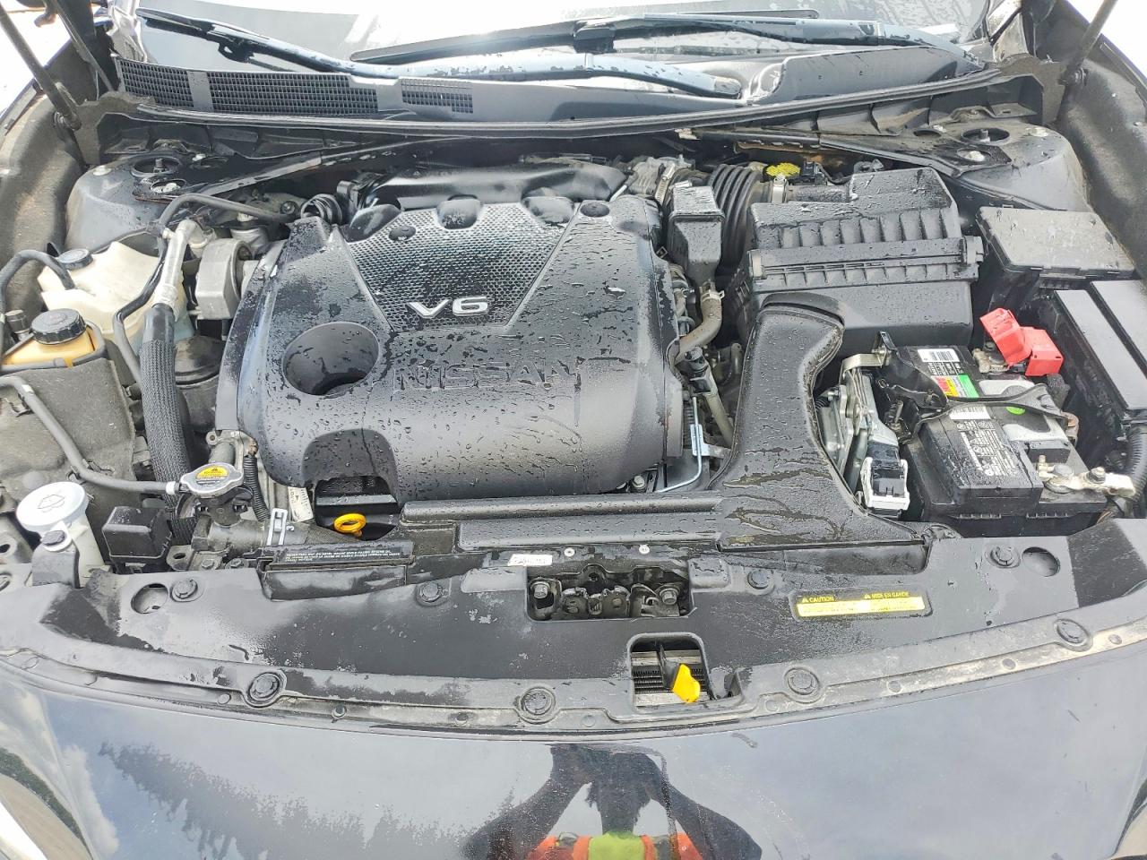 Nissan Maxima Platinum