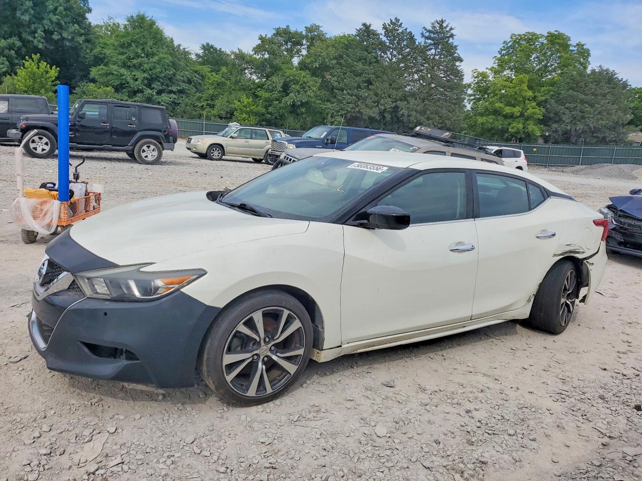 Salvage Nissan Maxima Image