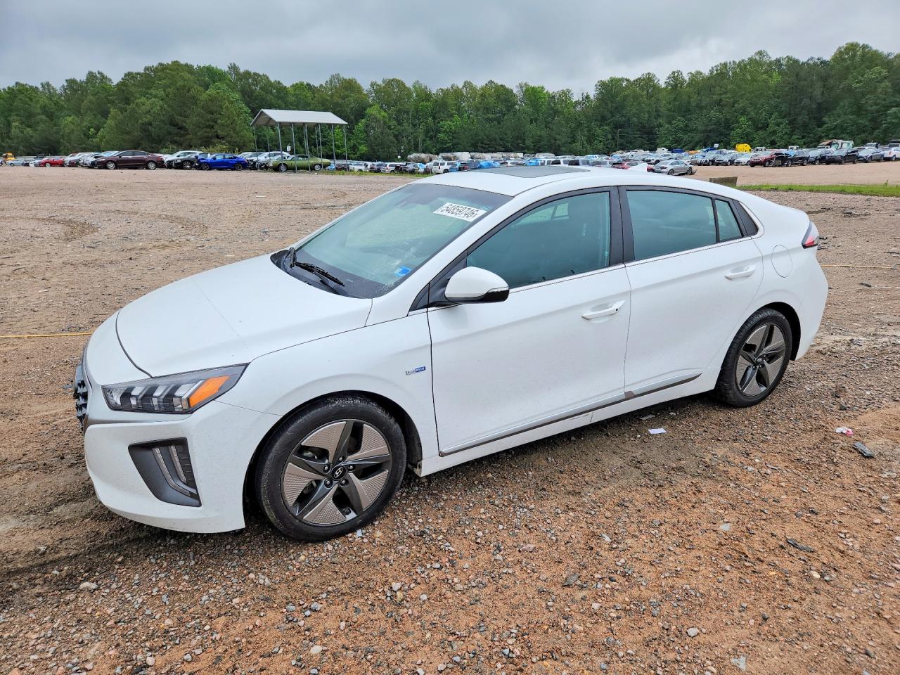 Salvage Hyundai Ioniq Image
