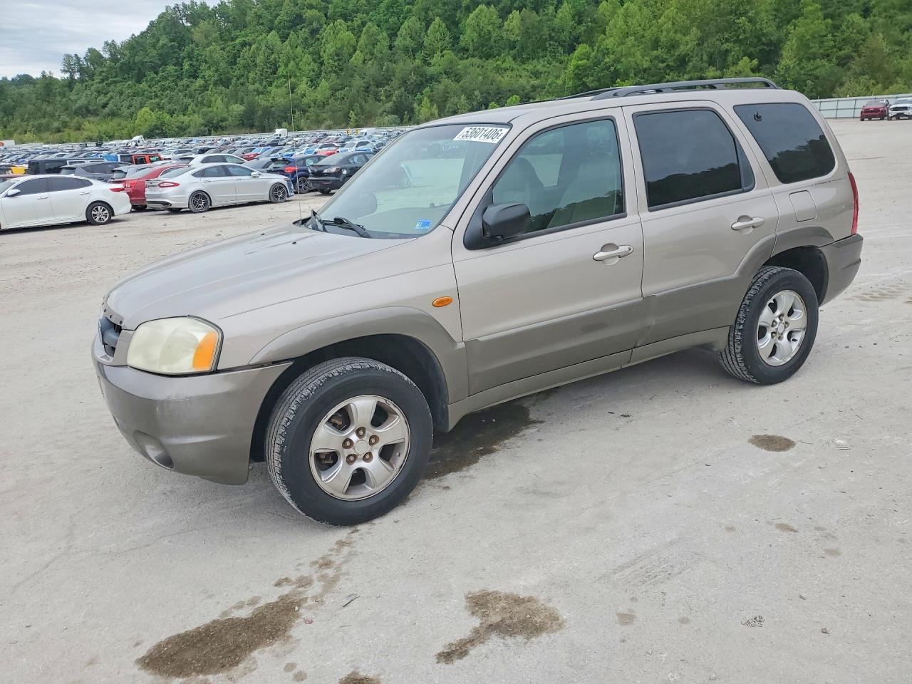 Salvage Mazda Tribute Image