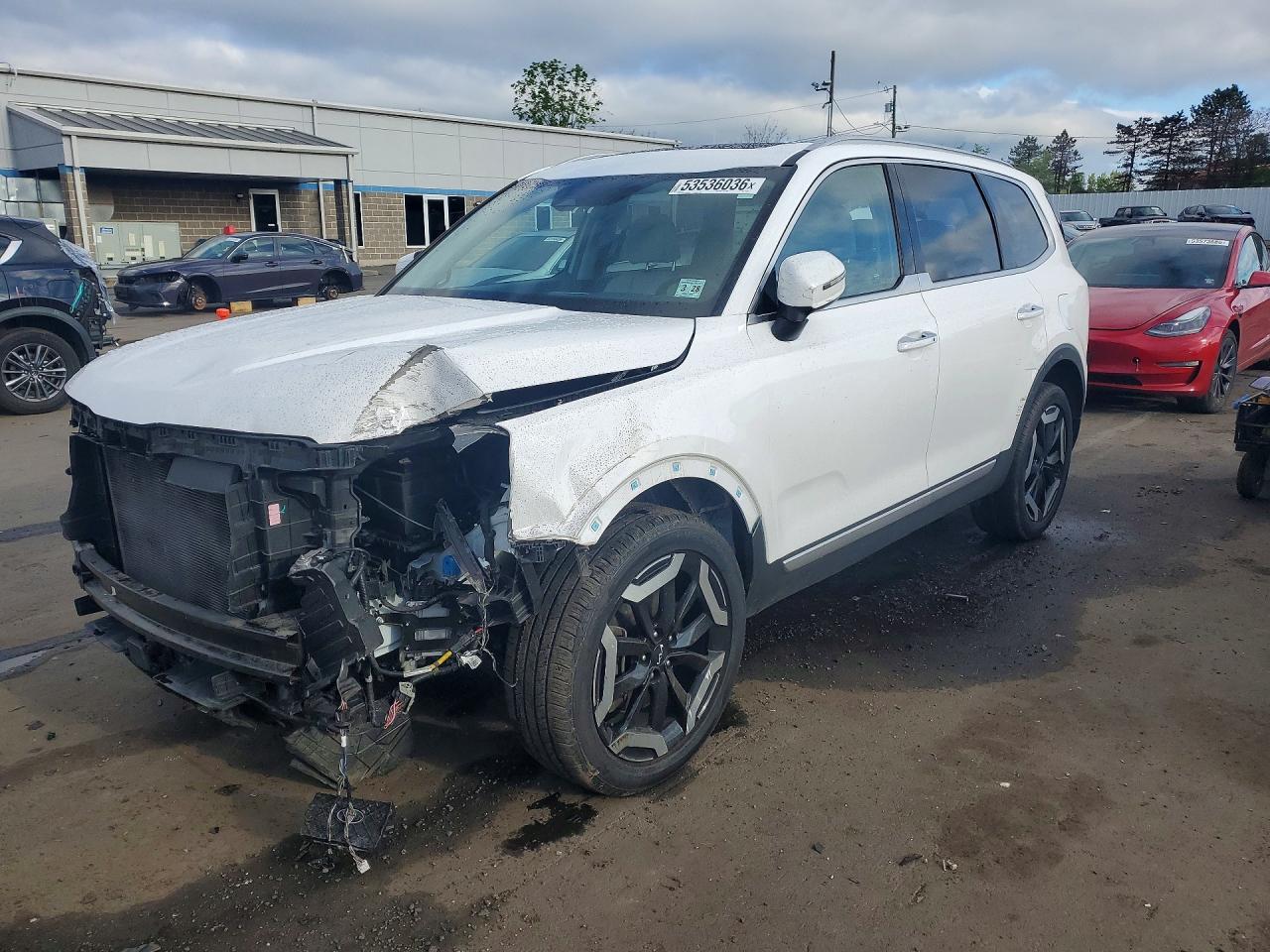 Salvage Kia Telluride Image