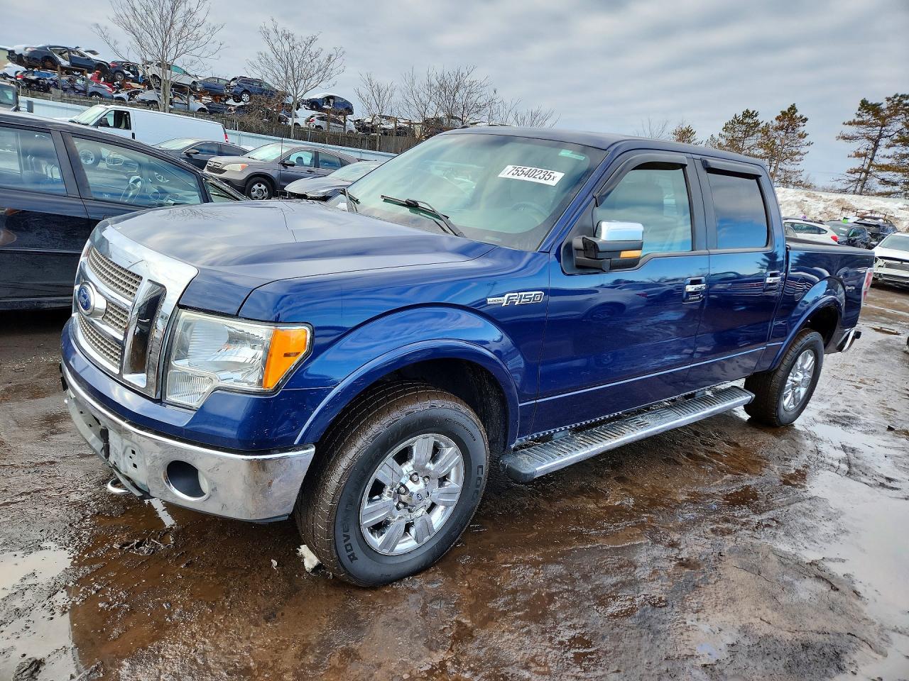 Salvage Ford F-150 Image