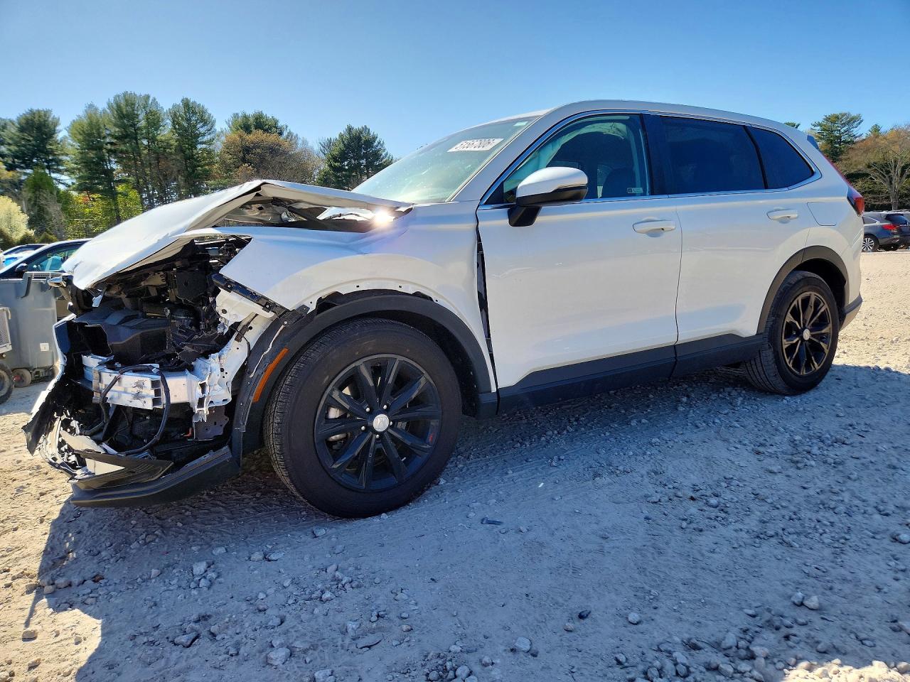 Salvage Honda Crv Image