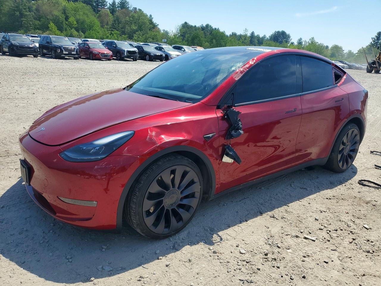 Salvage Tesla Model Y Image