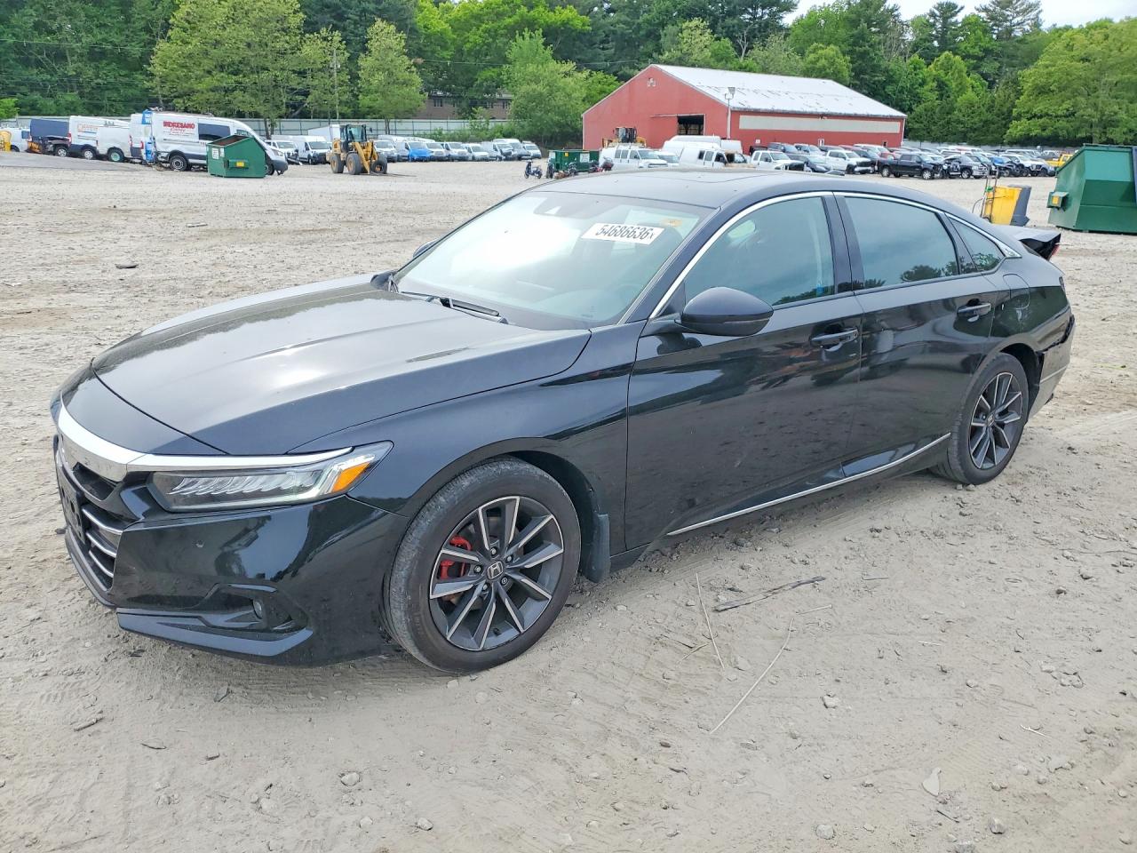 Salvage Honda Accord Image