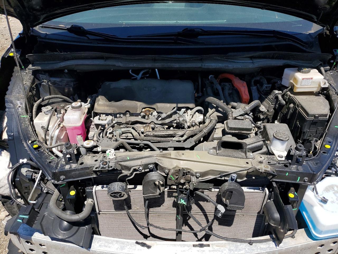 Toyota Sienna Le