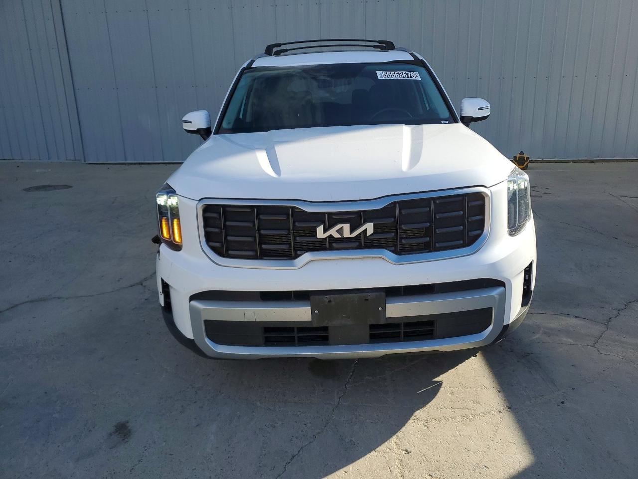 Kia Telluride S