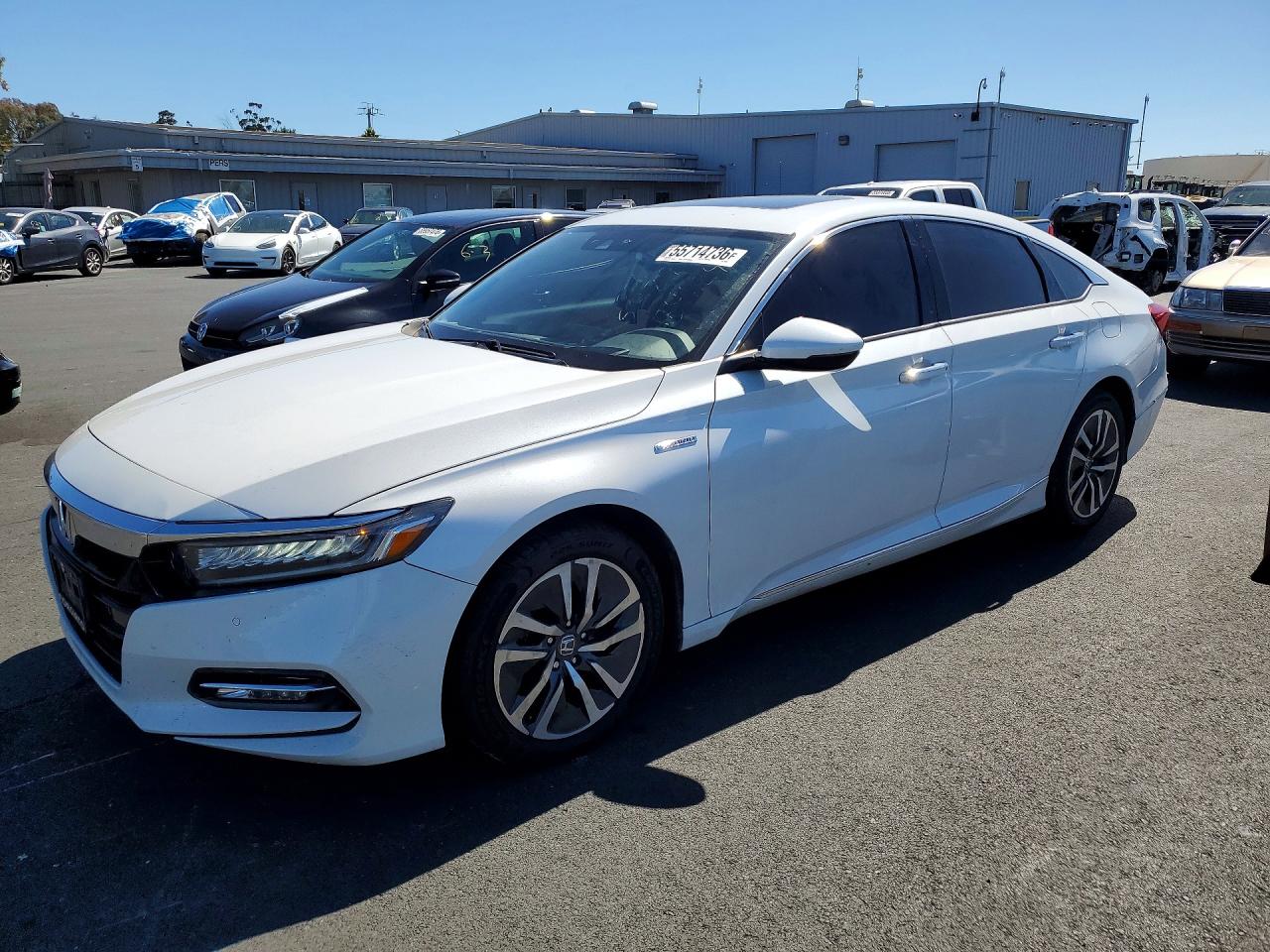 Salvage Honda Accord Image