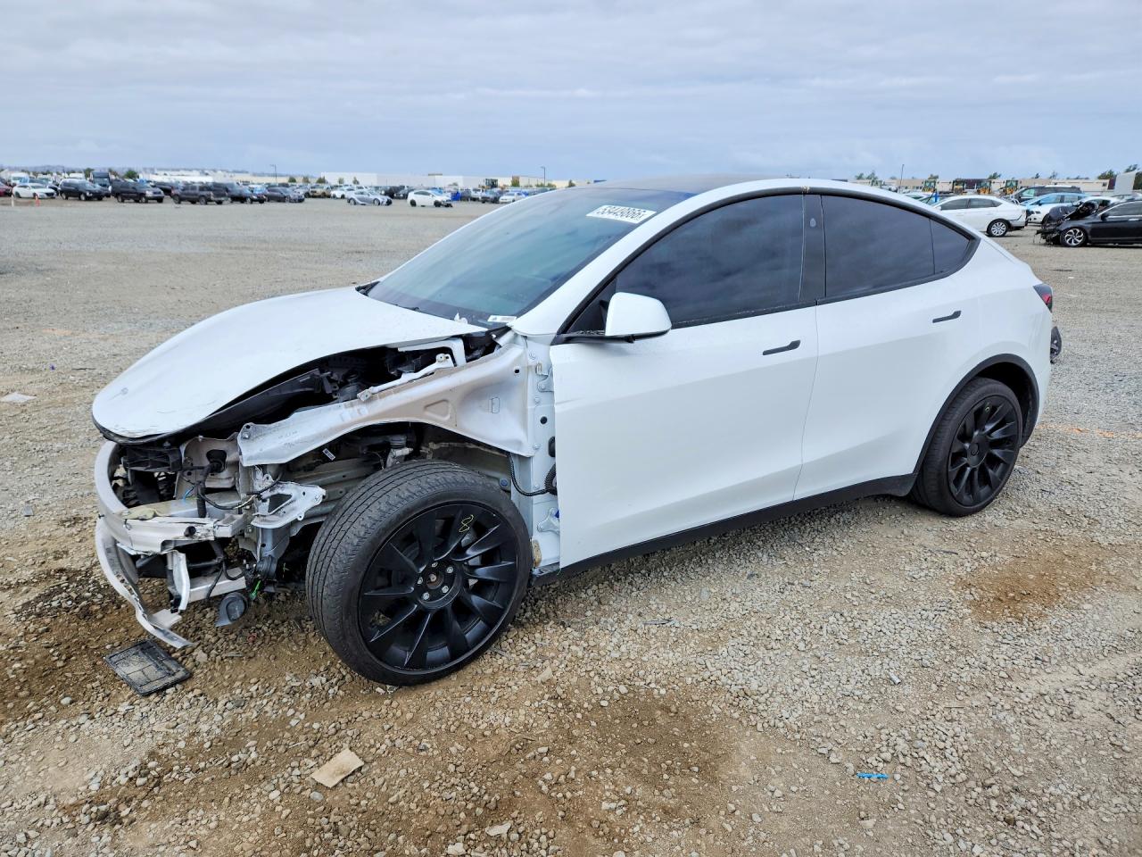 Salvage Tesla Model Y Image