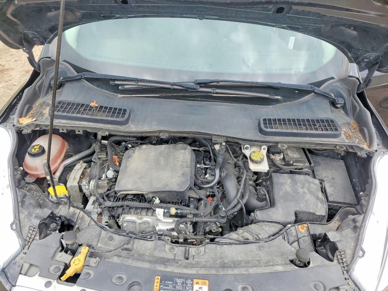 Ford Escape Se
