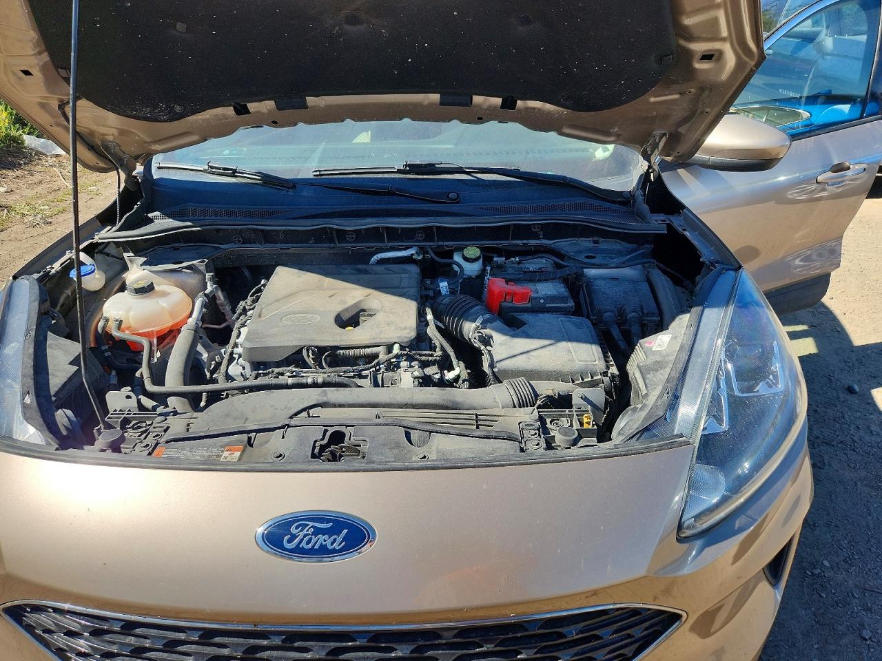 Ford Escape Se