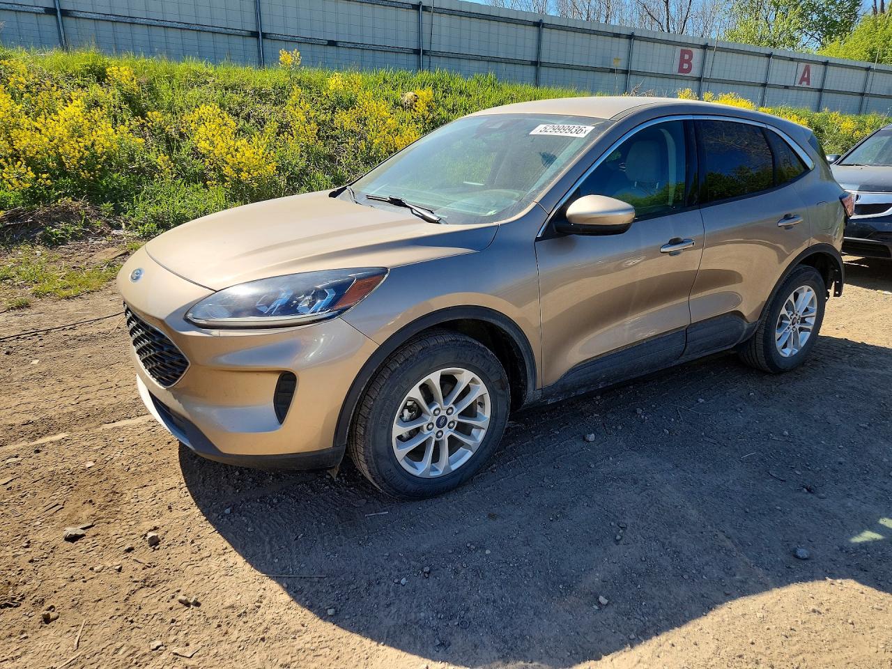 Salvage Ford Escape Image