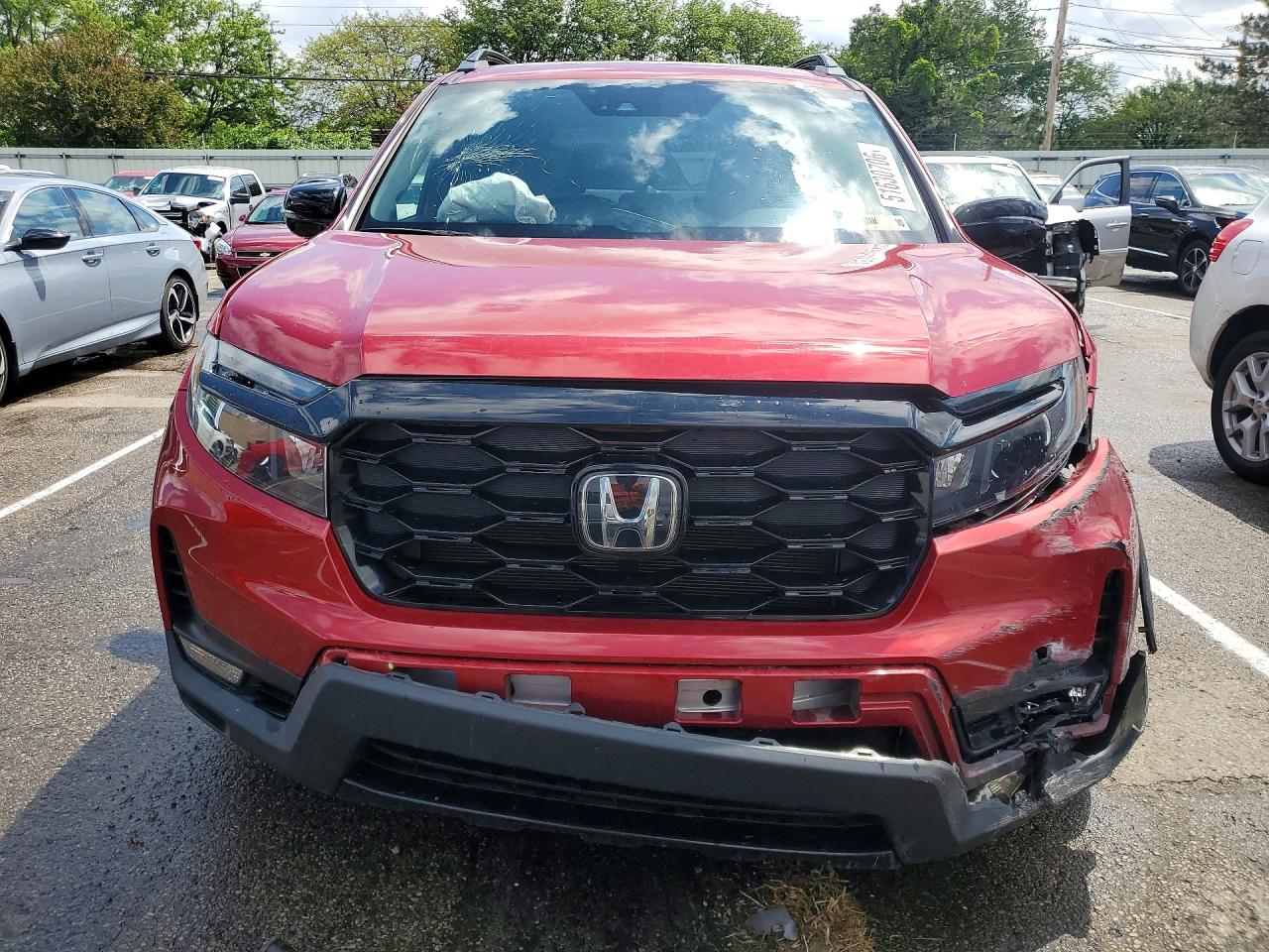 Honda Passport Elite