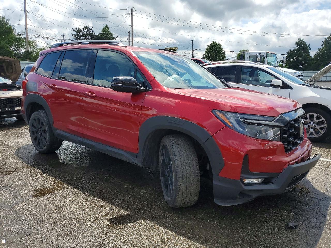 Honda Passport Elite