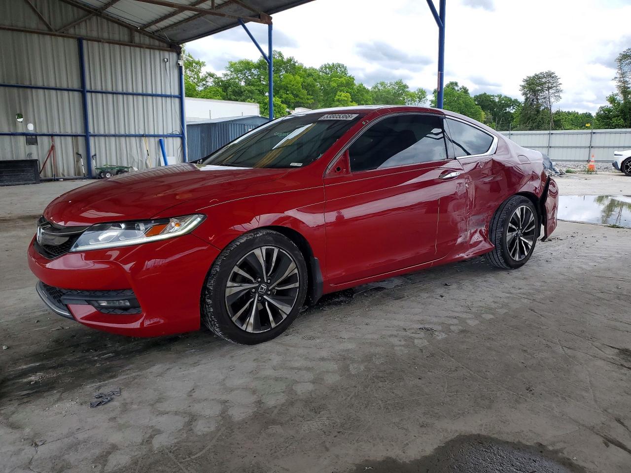 Salvage Honda Accord Image