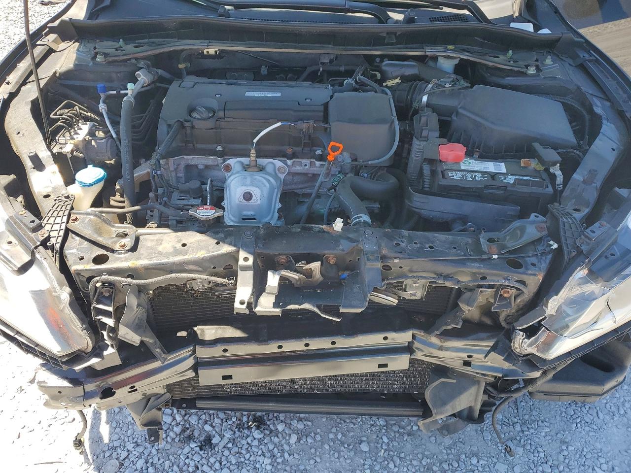 Honda Accord Ex-l