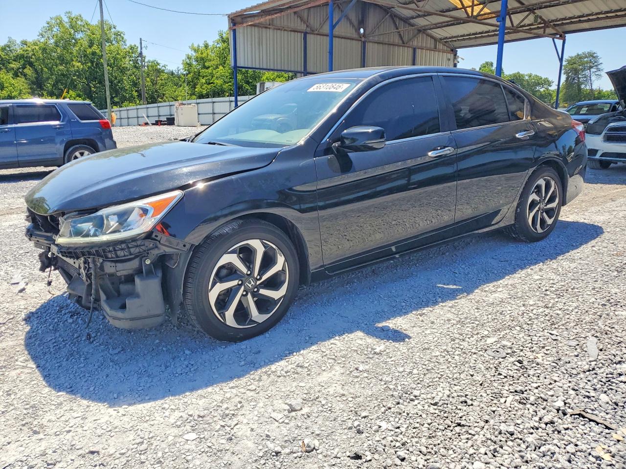 Salvage Honda Accord Image