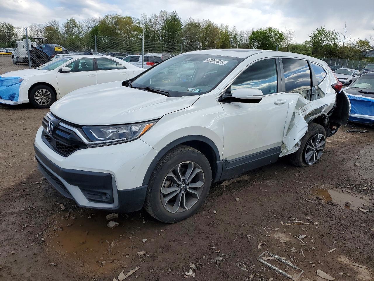 Salvage Honda Crv Image