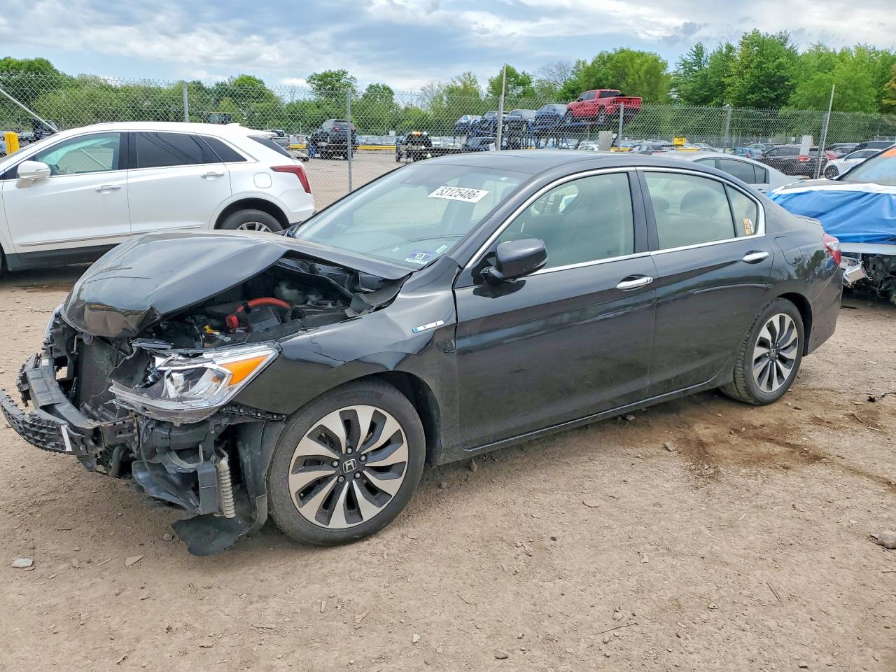 Salvage Honda Accord Image