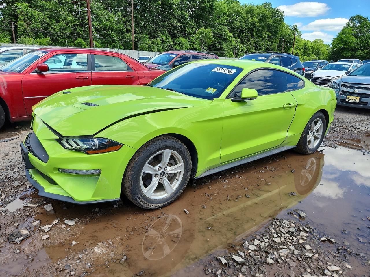 Salvage Ford Mustang Image