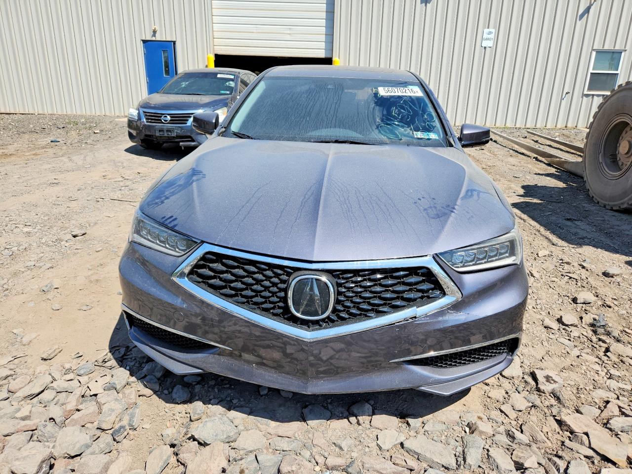 Acura TLX