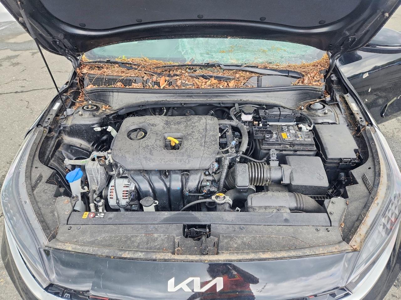 Kia Forte Gt Line
