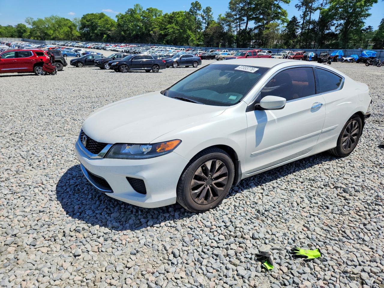 Salvage Honda Accord Image