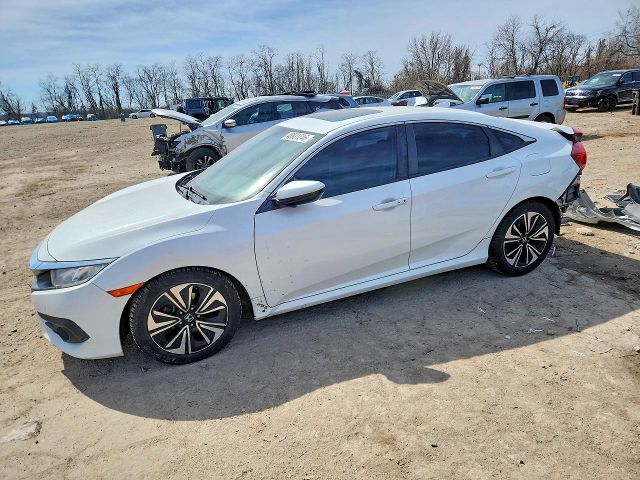 Salvage Honda Civic Image