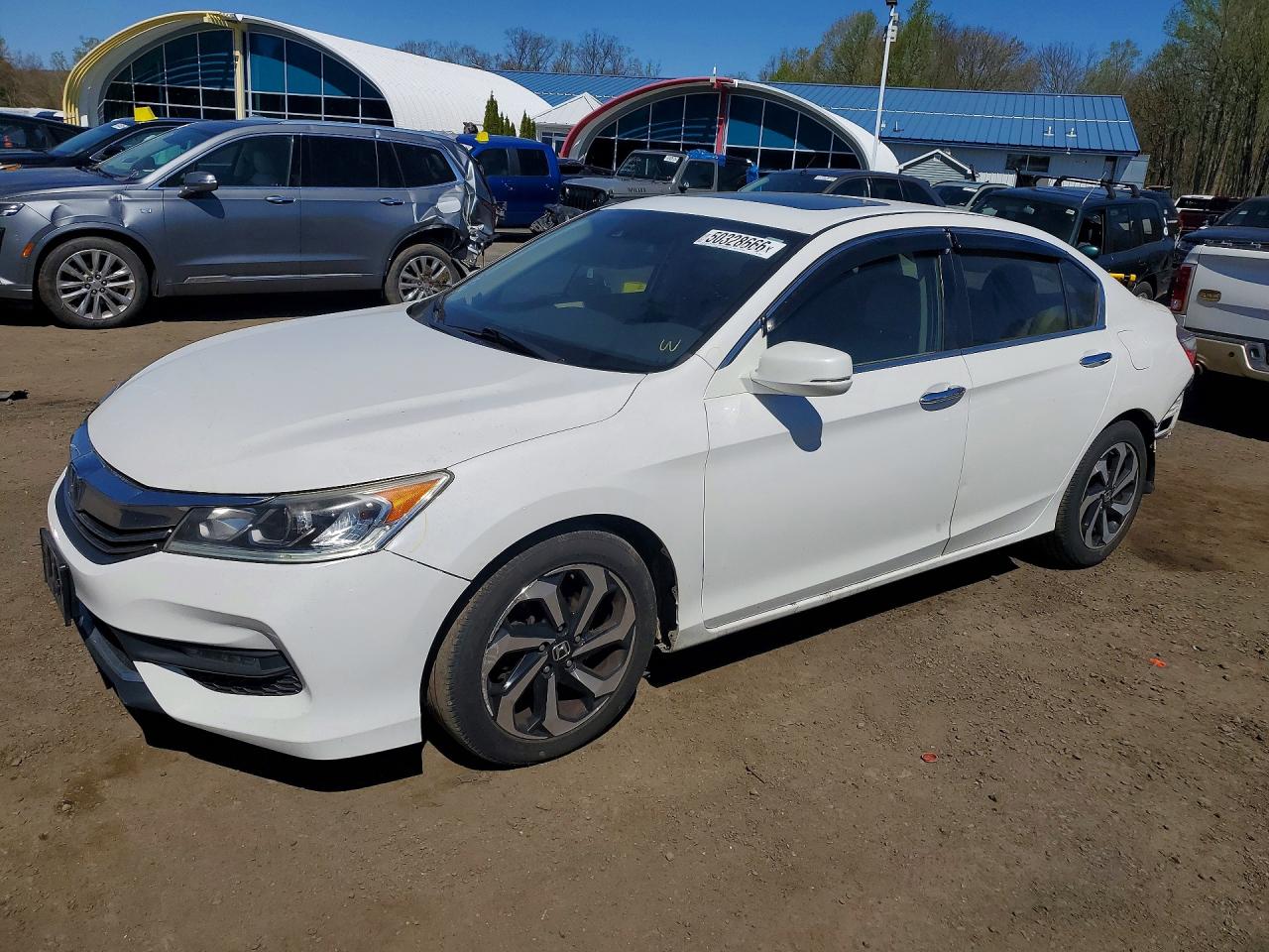 Salvage Honda Accord Image