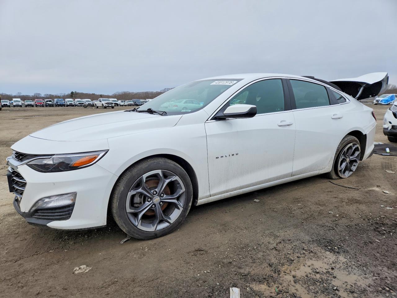 Salvage Chevrolet Malibu Image