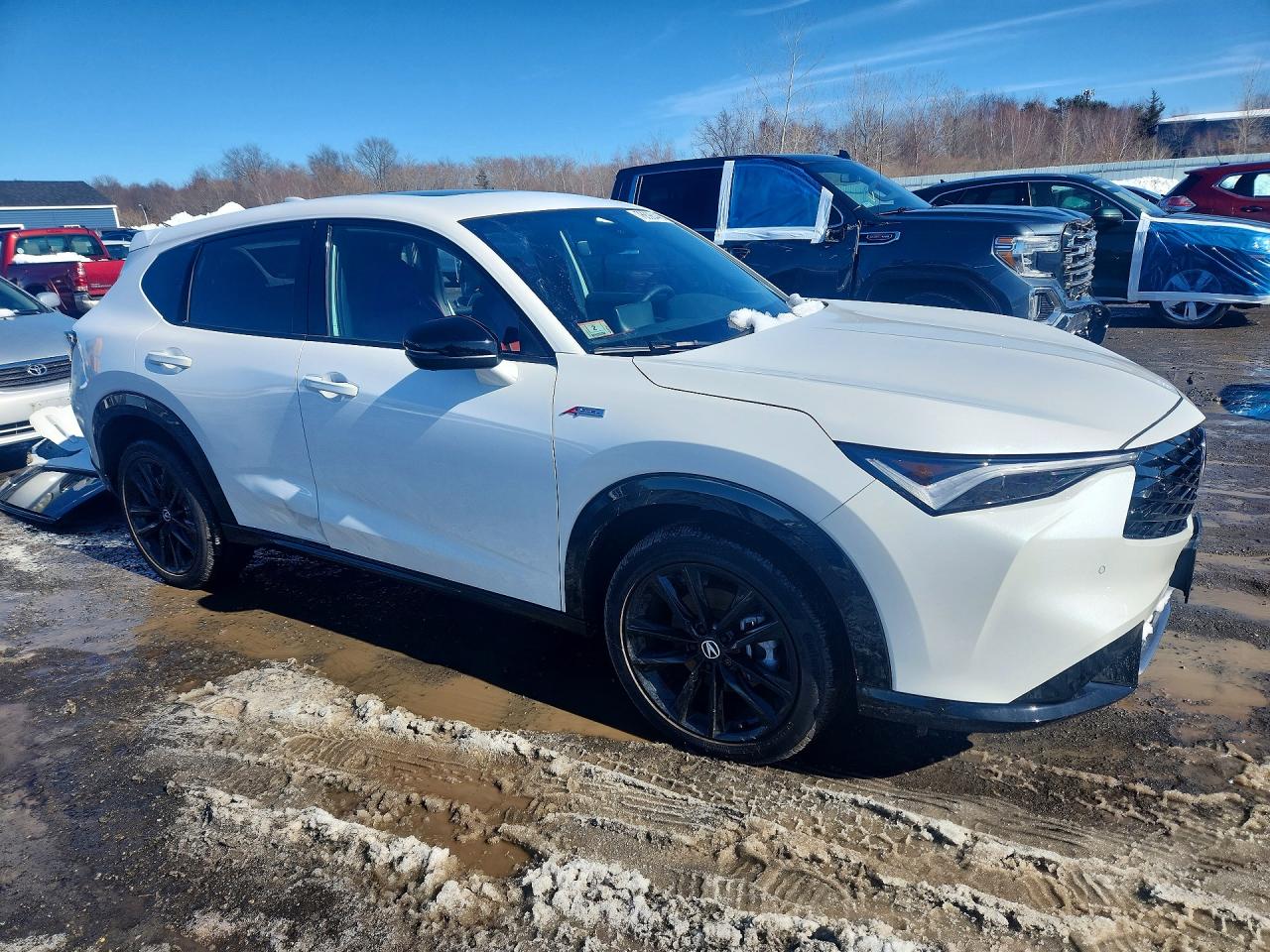 Acura Adx A-spec Advance