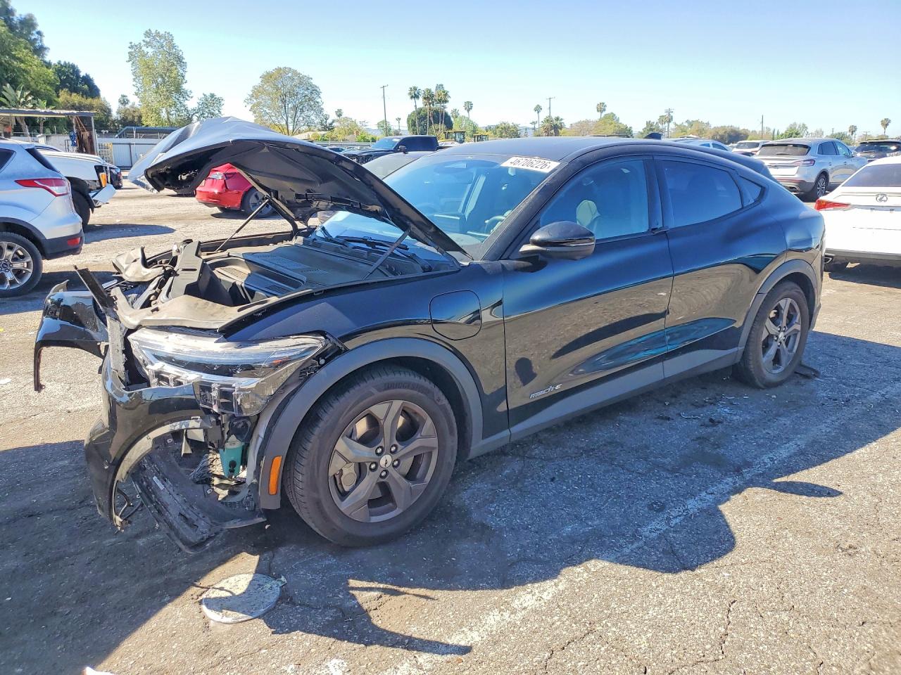 Salvage Ford Mustang Image