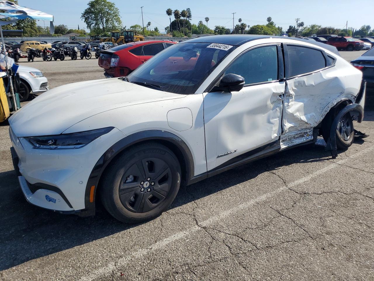 Salvage Ford Mustang Image