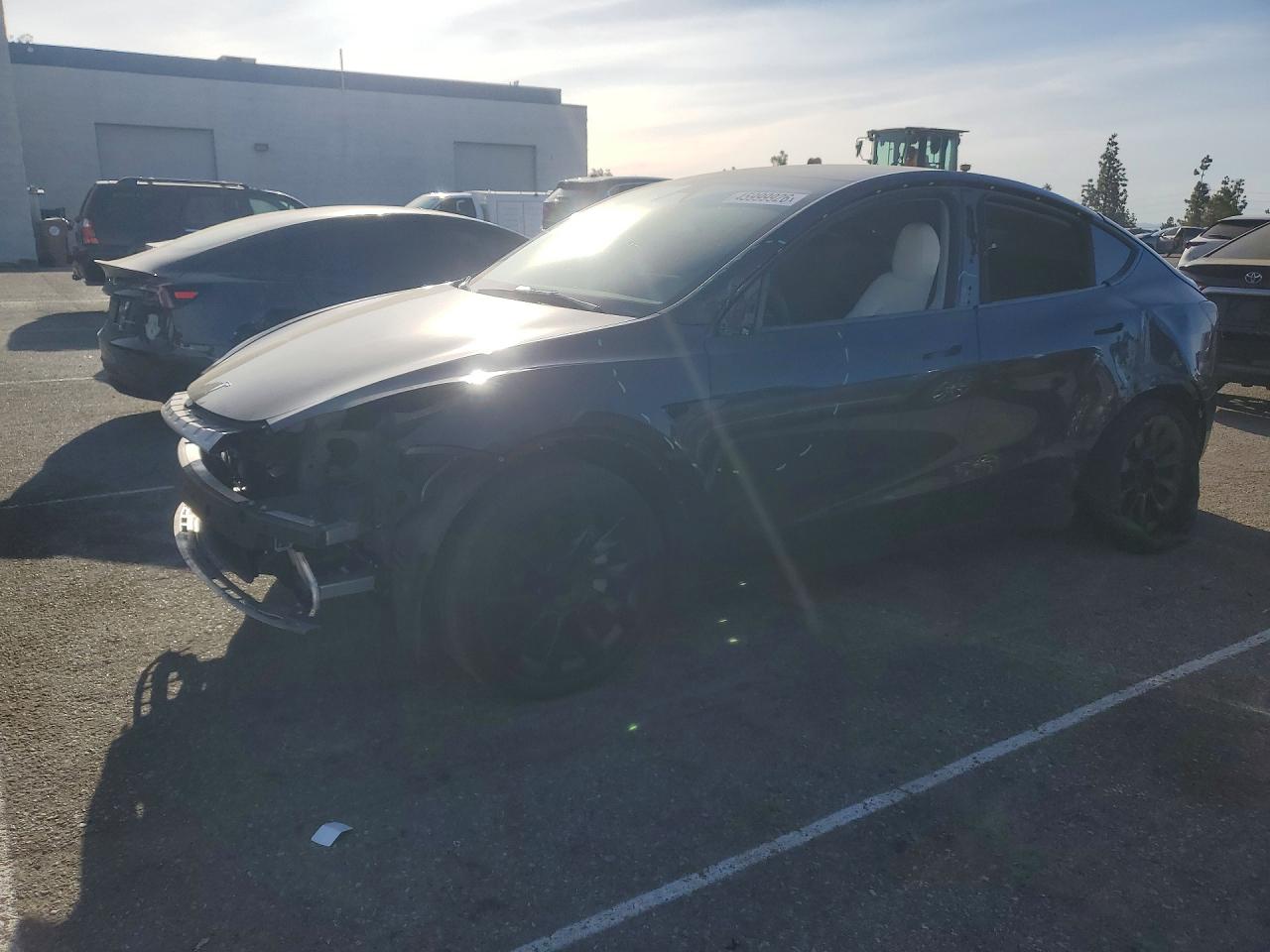 Salvage Tesla Model Y Image